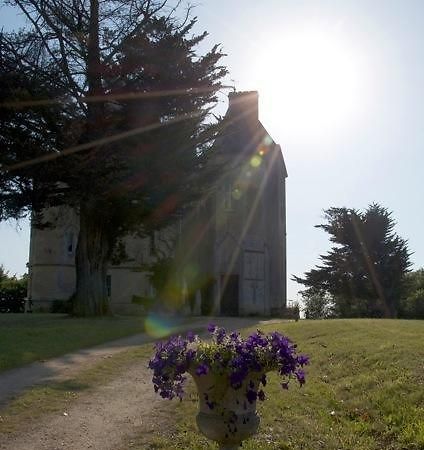 Bed and Breakfast Chateau Fauchey à Cadillac Extérieur photo